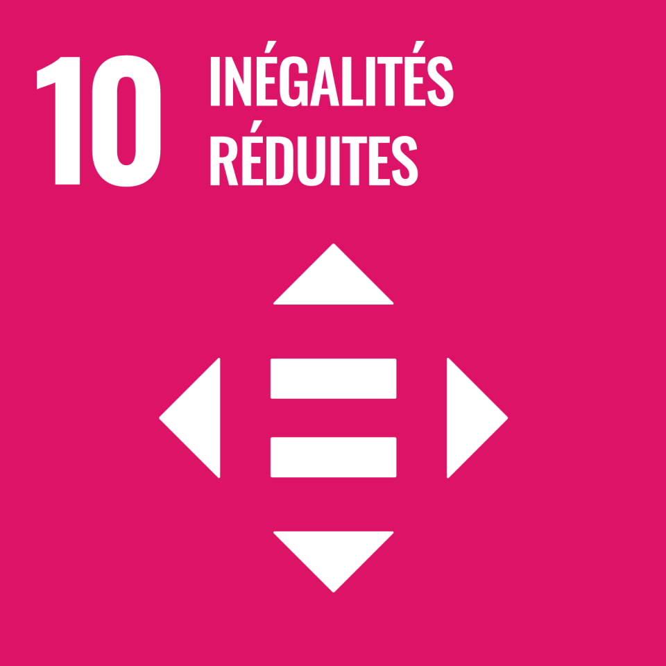 SDG FR 10