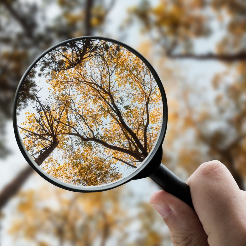 istock-1924410005