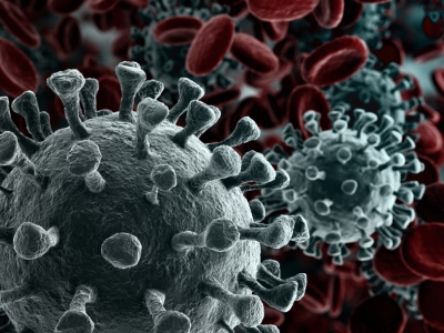 coronavirus